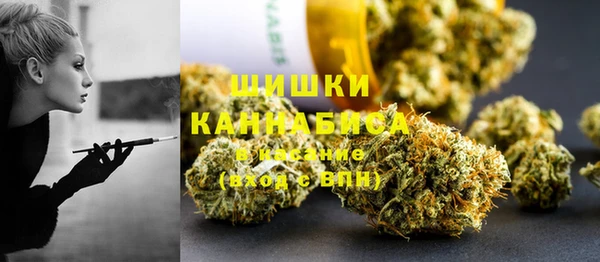 PSILOCYBIN Алексеевка